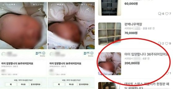 당근마켓에 올라온 '36주 신생아 입양' 글. 사진 당근마켓 캡처