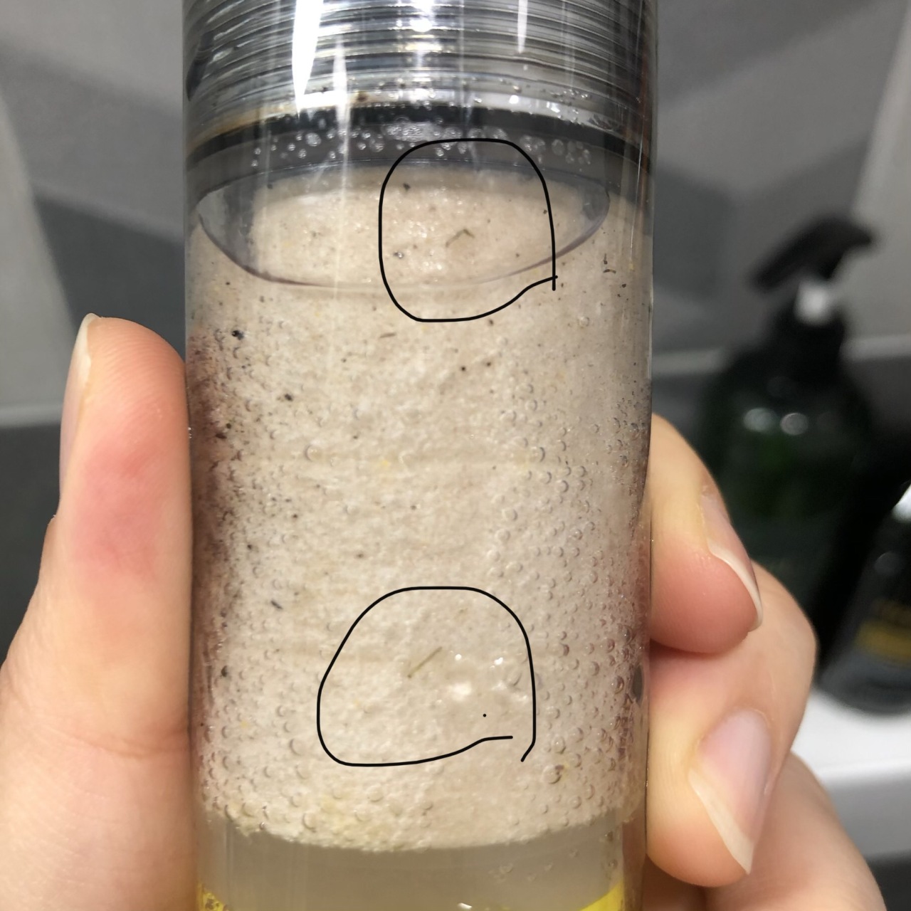 Photo of worms found inside a showerhead at a residential unit in Seogwipo, Jeju Island, provided by a reader (Yonhap)