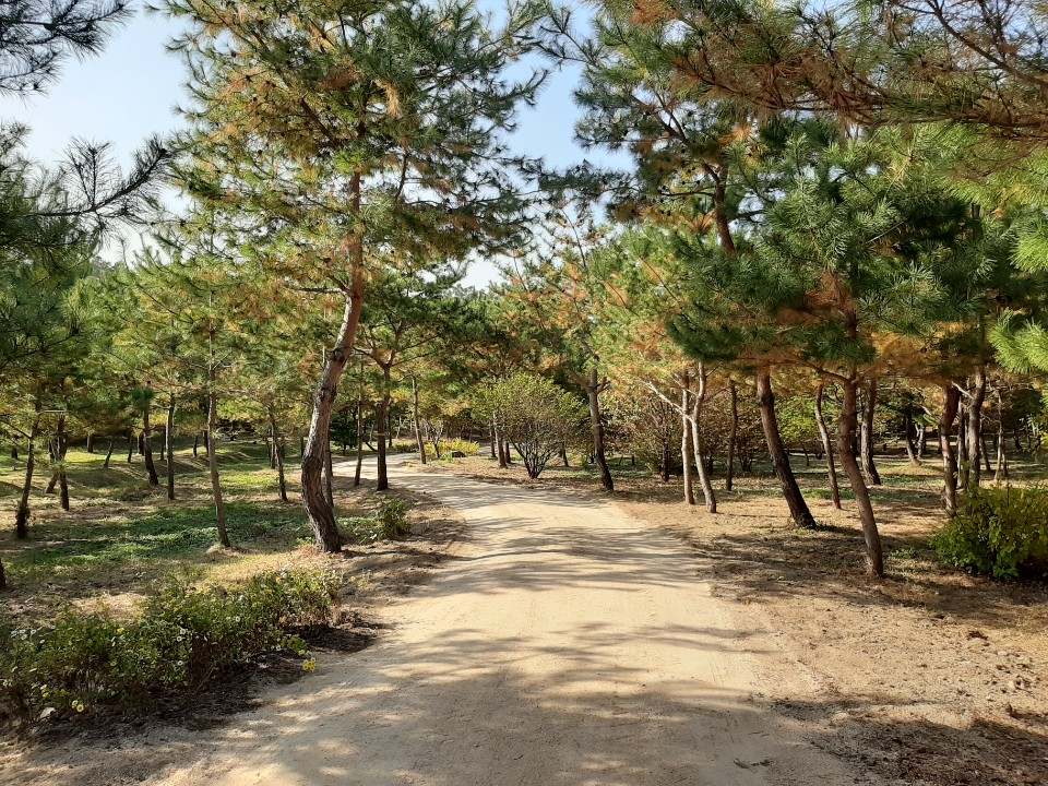 서울 의릉