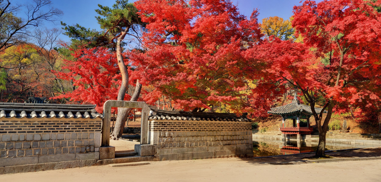 창덕궁 불로문