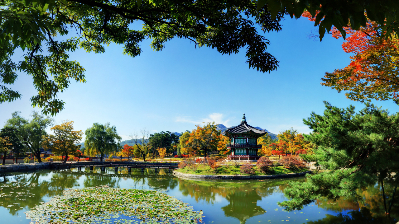 경복궁 향원정의 단풍
