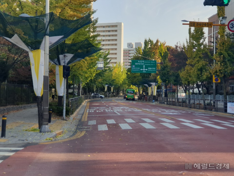 도봉구 창동주공 18단지 아파트 단지 일대 가로수에 은행열매 조기 채취 그물망이 설치돼 있다. [도봉구 제공]