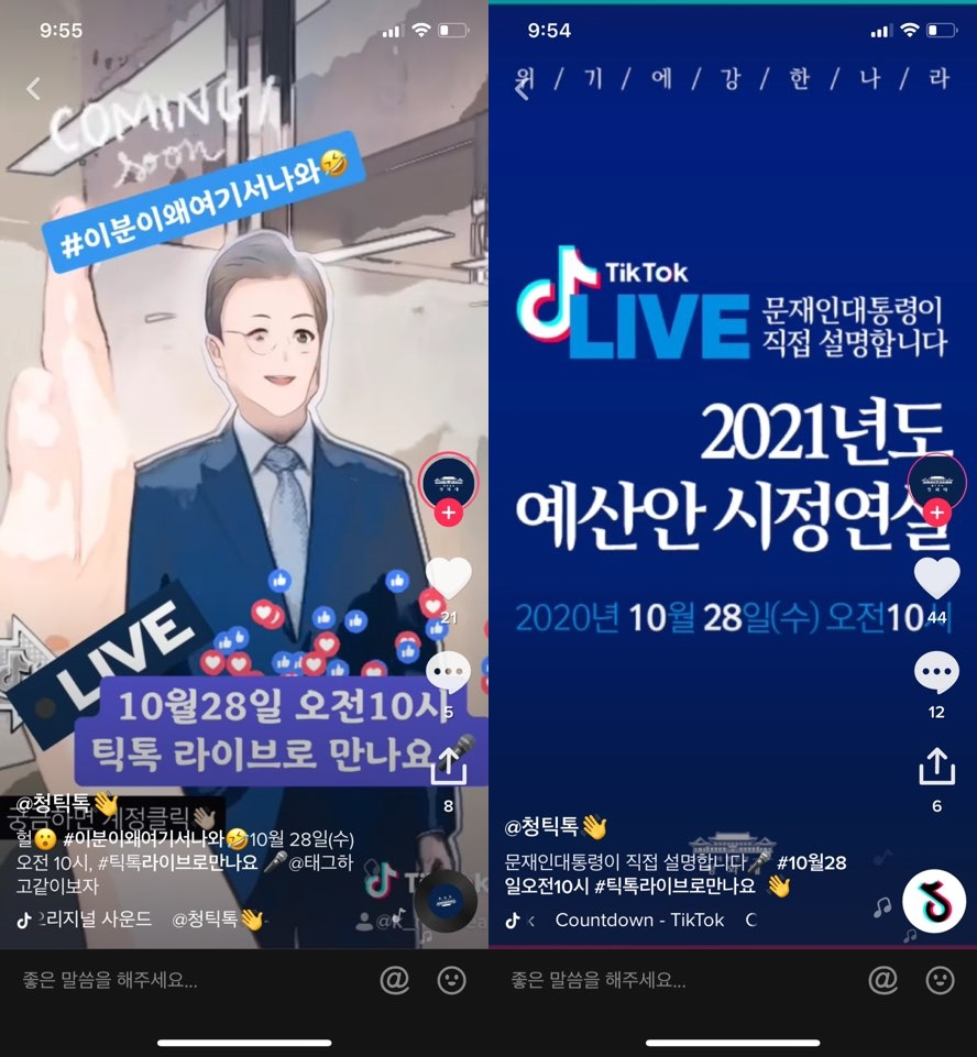 [틱톡 화면 캡처]