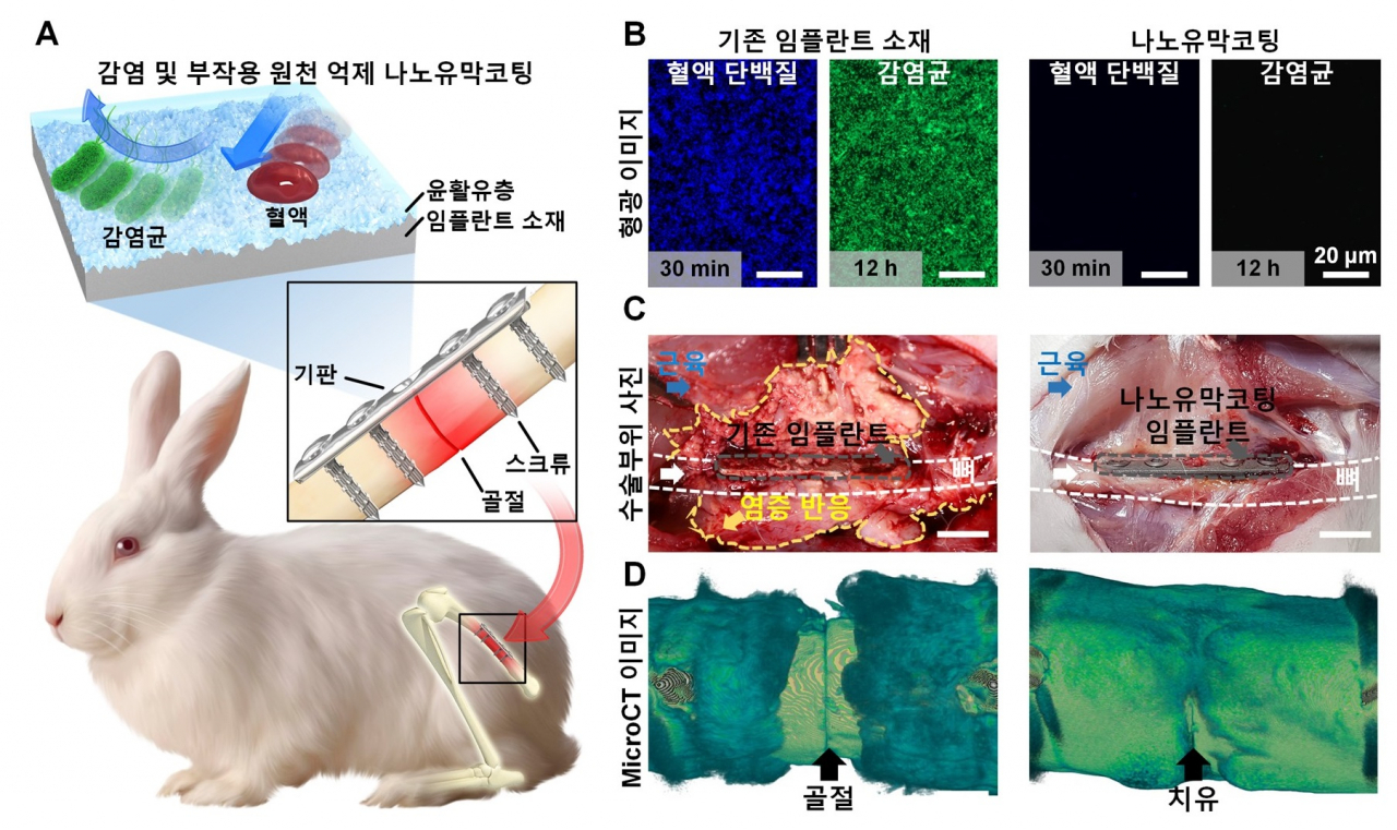 나노유막코팅 기술의 정형외과 임플란트 응용가능성 모식도.[연세대 제공]