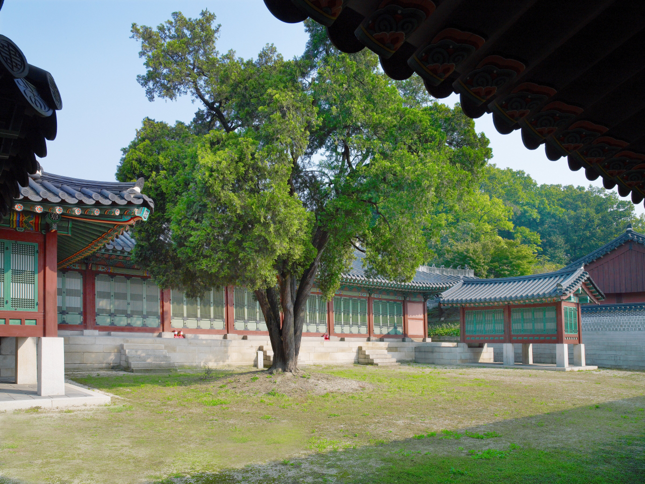 구 선원전터. 악랄한 일제가 우리민족정기, 왕실정통성을 말살하기 위해 없앴다.