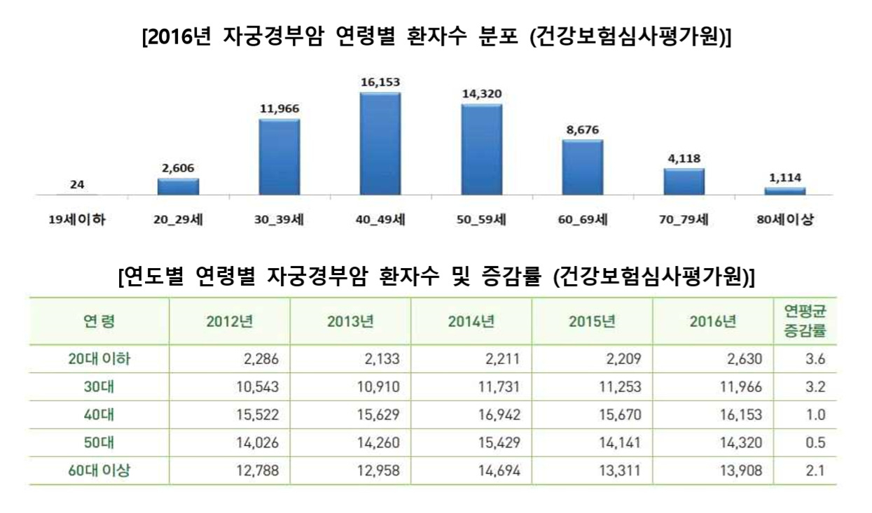 출처=생명보험협회.