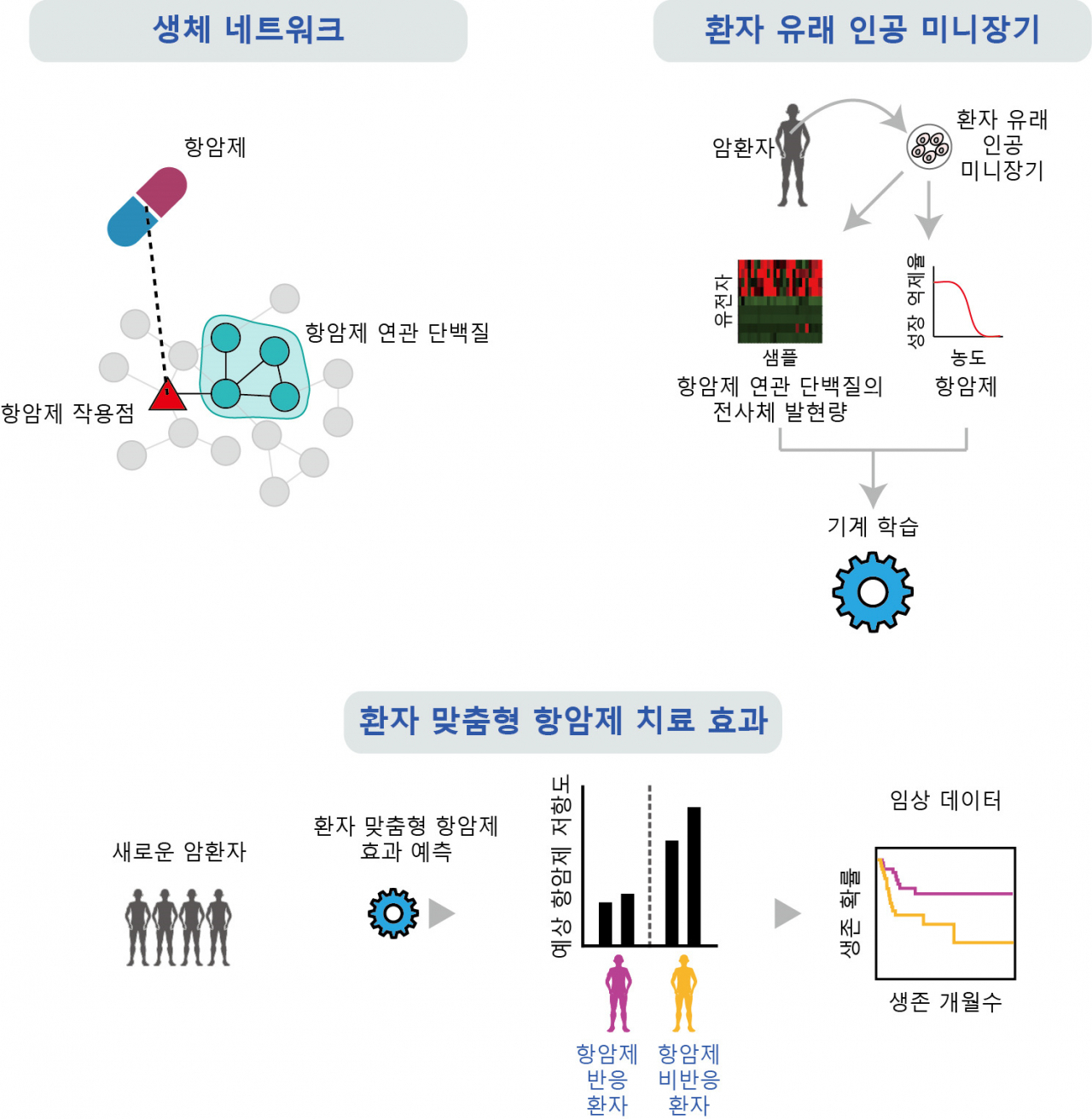 환자 맞춤형 약물 반응성 예측기술 모식도.[포스텍 제공]