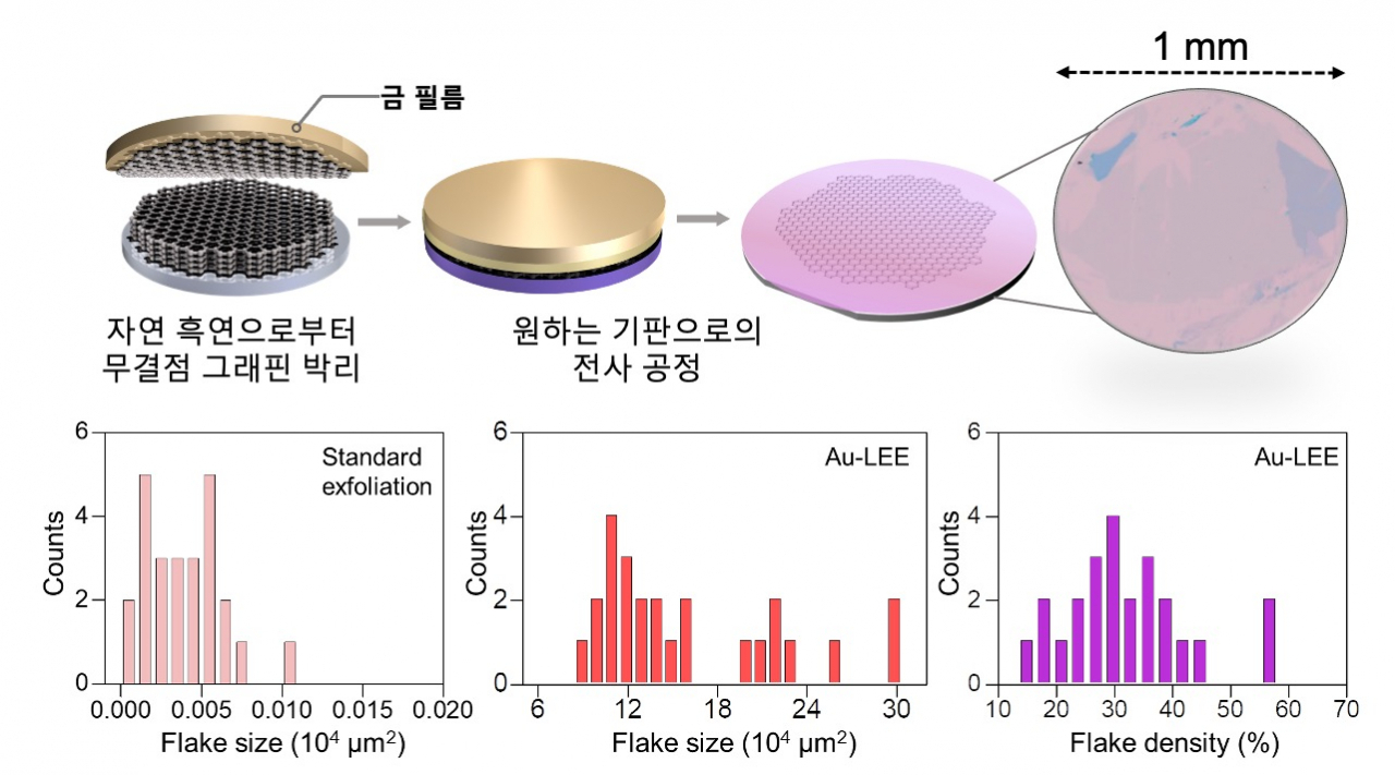 자연흑연에서 단일층의 그래핀을 박리하는 방법과 크기 및 밀도 결과.[아주대학교 제공]