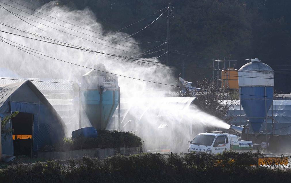 A chicken farm in Yongin, Gyeonggi Province, undergoes disinfection last month after highly pathogenic avian influenza was discovered from a migrant bird habitat in the city. (Yongin Metropolitan Government)