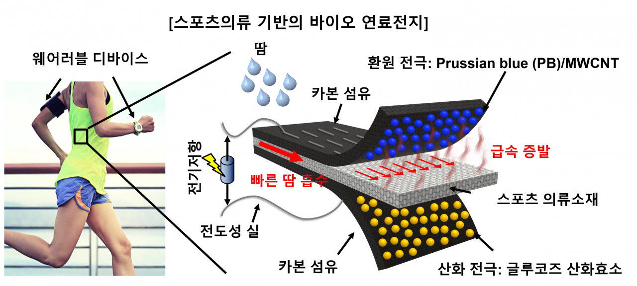 스포츠의류 기반 바이오 연료전지 개요도.[서강대 제공]