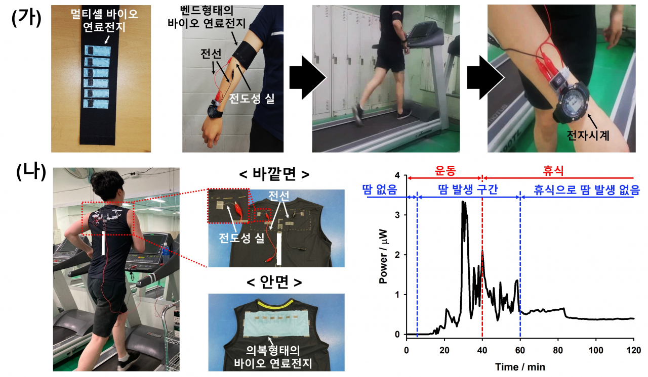 밴드 및 의복 형태로 개발된 웨어러블 바이오 연료전지.[서강대 제공]