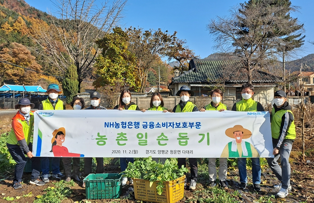 [농협은행 제공]