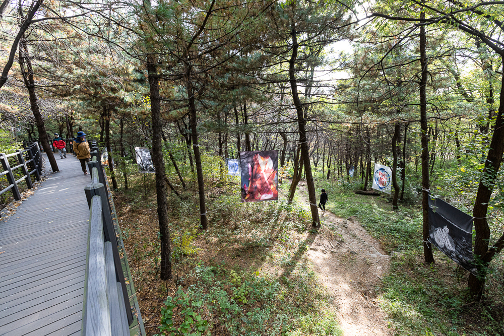 서대문구 안산자락길 메타세쿼이아 산책로 모습. 이곳을 찾으면 윤동주의 ‘서시’를 모티브로 한 미술 작품들을 감상할 수 있다. [서대문구 제공]