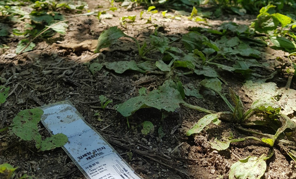 '묻지마 살인' 사건이 일어난 인제 등산로 입구. [연합]
