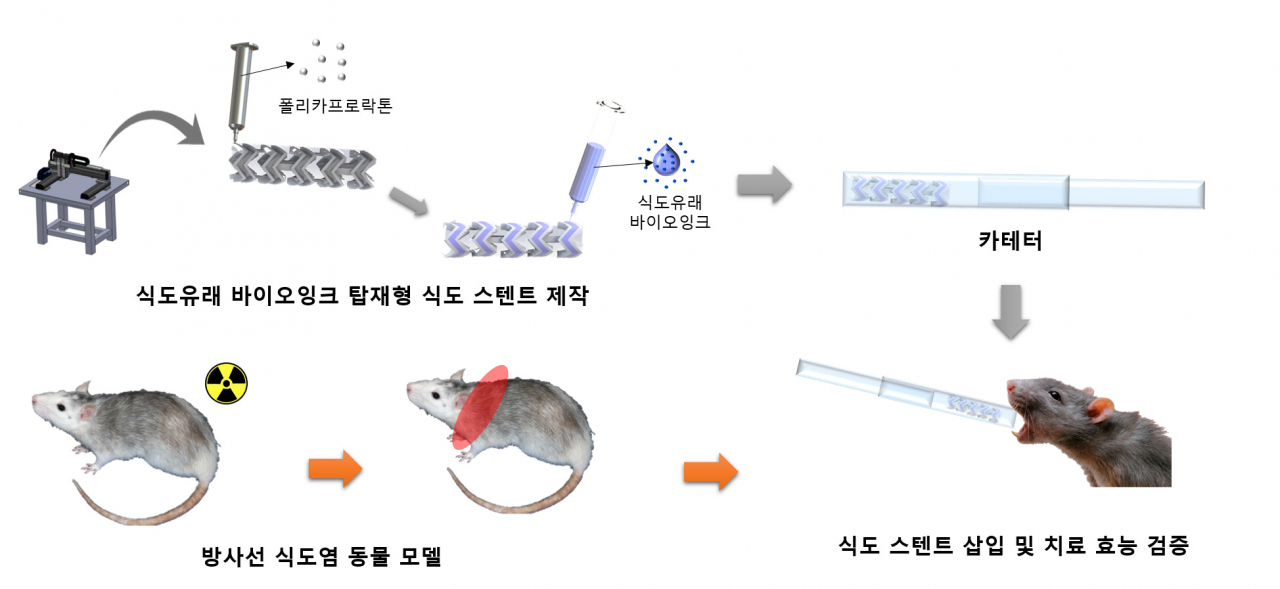 방사선 식도염 치료를 위한 식도 스텐트 제작 모식도.[포스텍 제공]