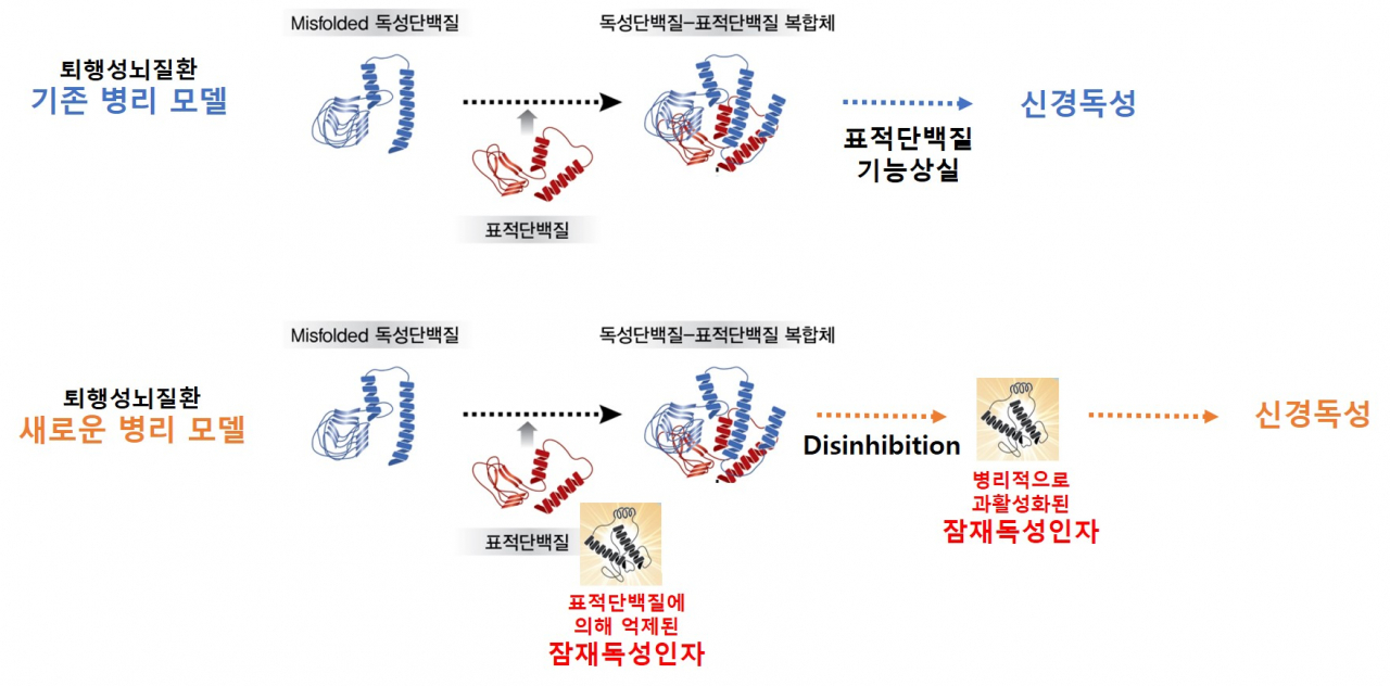 기존 병리모델과 신규 병리모델 비교 모식도.[DGIST 제공]