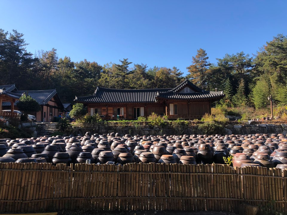 전남 담양 창평면 작은 시골 마을엔 기순도 명인의 고려전통식품이 자리하고 있다. 1200개의 장독이 바람과 햇살을 맞으며 가지런히 서있는 모습은 한 폭의 동양화다. 고승희 기자