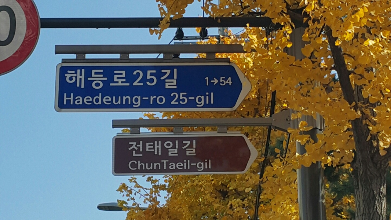 전태일 길 안내 표지판. [도봉구 제공]