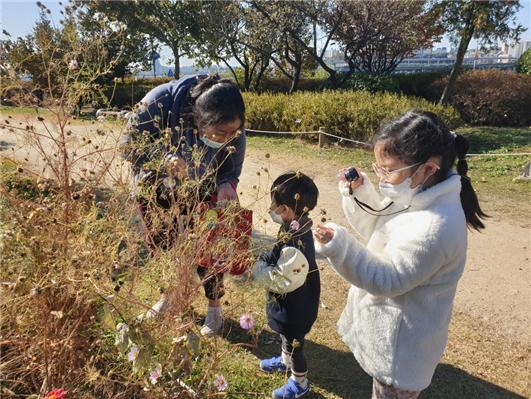 잠원한강공원 생태프로그램인 플로라 오브 한강. [서울시 제공]