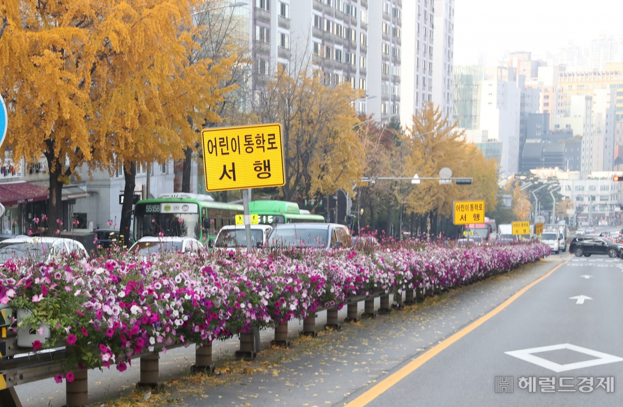 관악로에 조성된 꽃길. [관악구 제공]