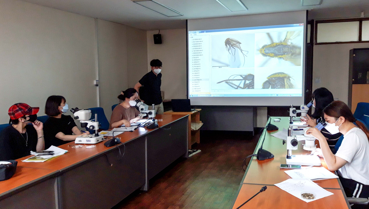 코로나19 극복 희망일자리 참여자들이 모기 종 분류 사업을 위한 교육을 받고 있다. [용인시 제공]
