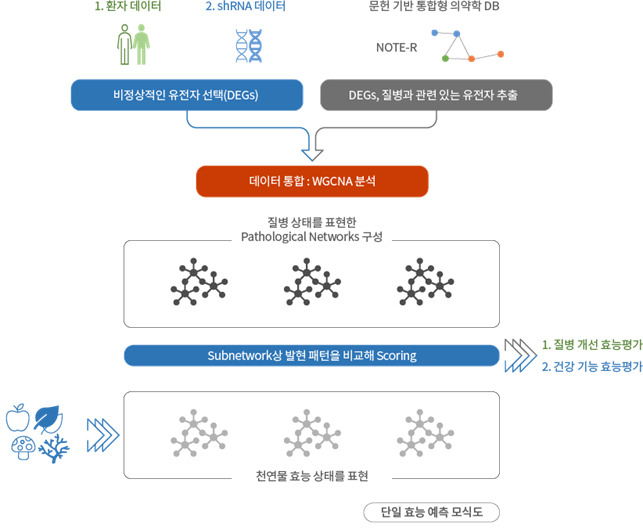 천연물 효능예측 개념도.[한국식품연구원 제공]
