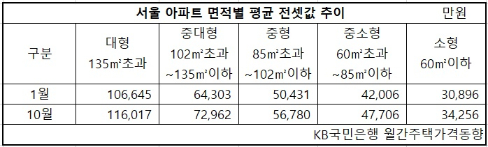 전셋값은 중형 아파트가 가장 올랐는데...전세대책 또 엇박자