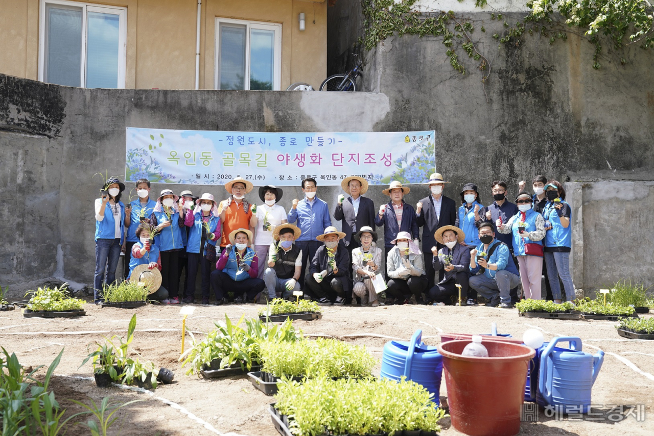 옥인동에 노후 빈 집을 철거하고 난 다음 야생화 단지를 조성한 모습. [종로구 제공]
