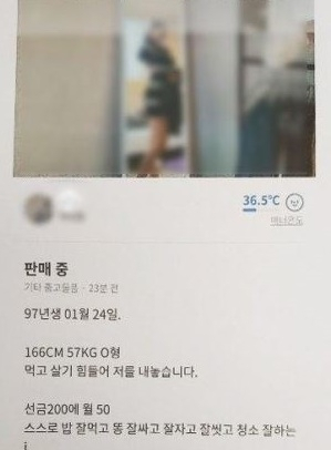 [온라인 커뮤티니 캡처]