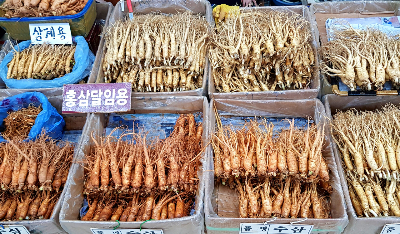 홍삼, 수삼, 인삼