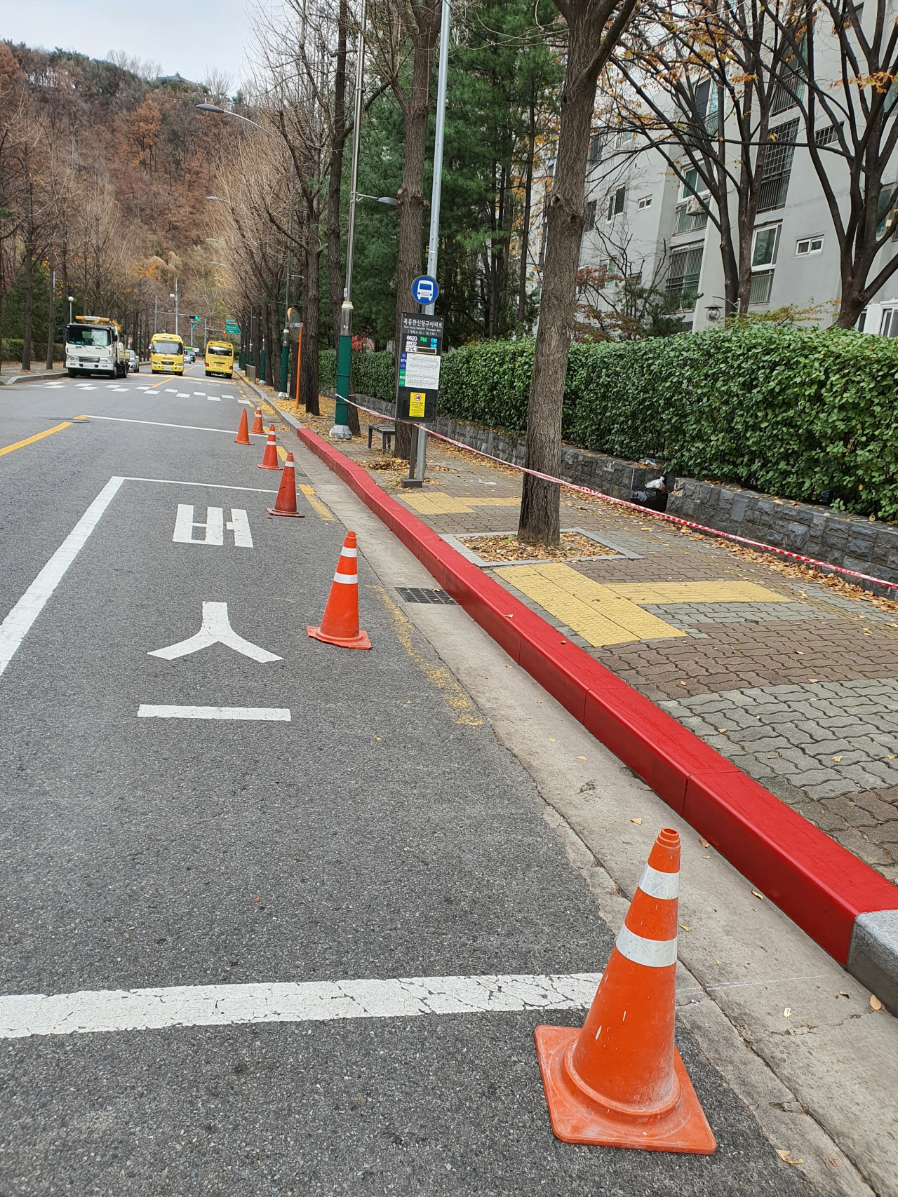 버스 정류장 주변 주·정차 절대금지구역. [양천구 제공]