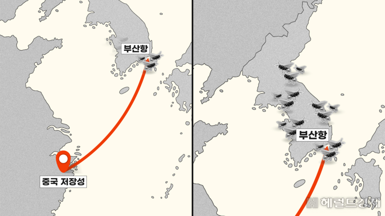 ③중국산, 등검은 말벌의 습격…꿀벌 떼죽음 [라스트 포레스트]