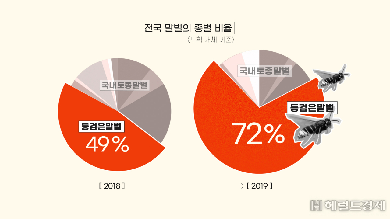 ③중국산, 등검은 말벌의 습격…꿀벌 떼죽음 [라스트 포레스트]