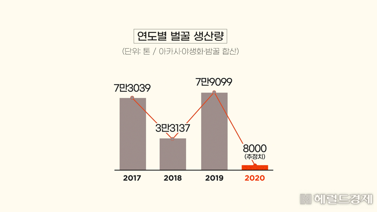 ③중국산, 등검은 말벌의 습격…꿀벌 떼죽음 [라스트 포레스트]