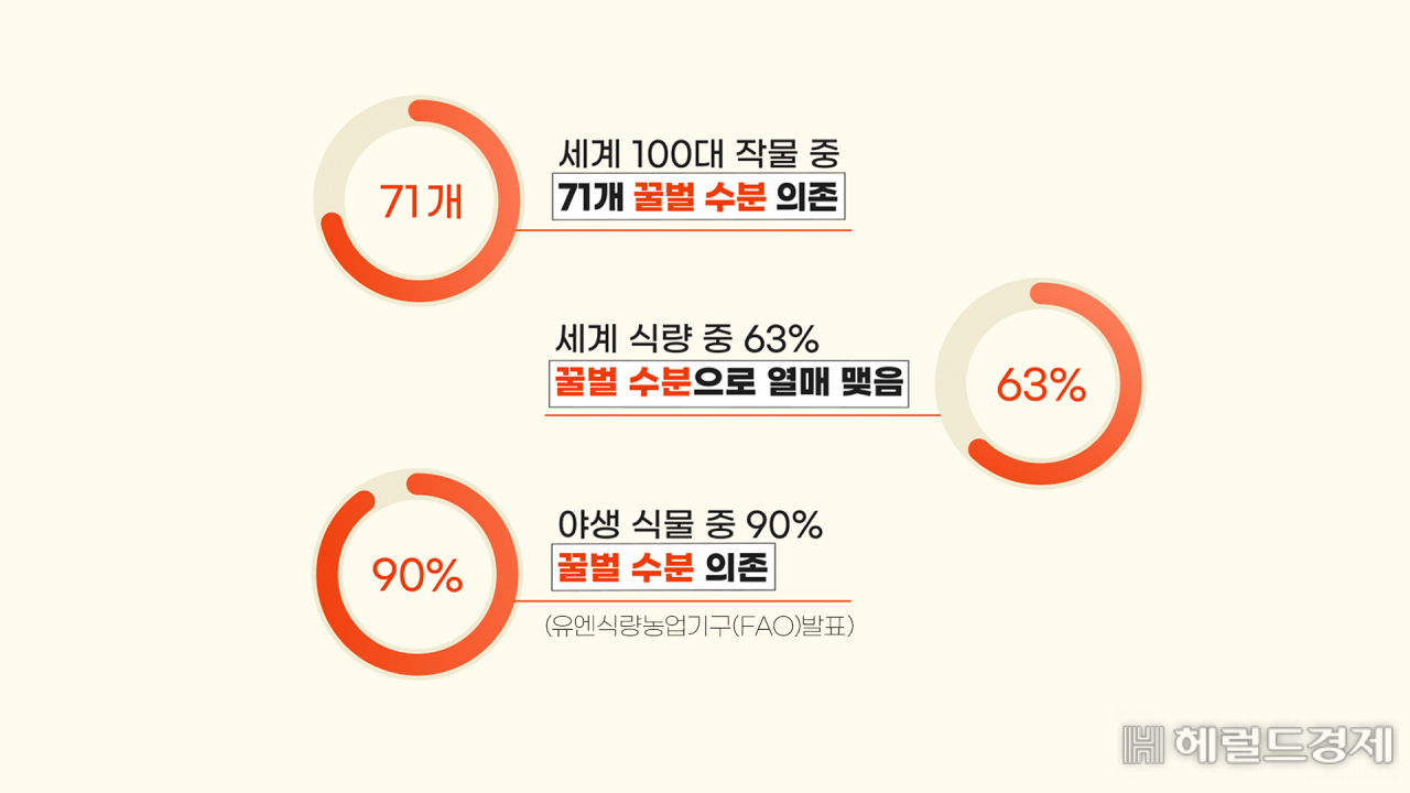 ③중국산, 등검은 말벌의 습격…꿀벌 떼죽음 [라스트 포레스트]