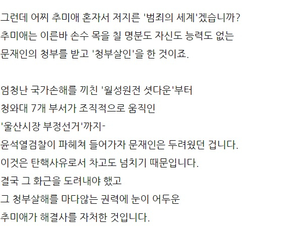 전여옥 전 새누리당 의원 SNS 일부 캡처.