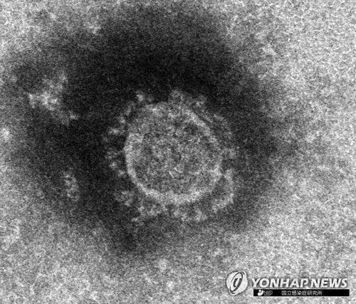 日 코로나 확진 급증… 의료 시스템이 붕괴된다