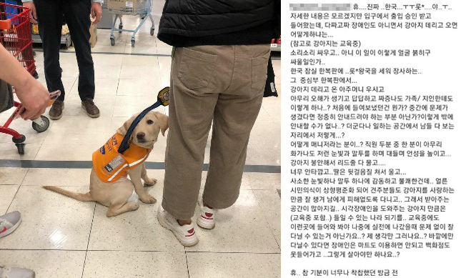 지난 29일 롯데마트에서 훈련 중인 장애인 보조견의 출입을 거부했다는 목격담이 올라와 논란이 일고 있다. [인스타그램 캡처]