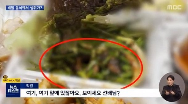 [MBC 뉴스데스크 방송화면 캡처]