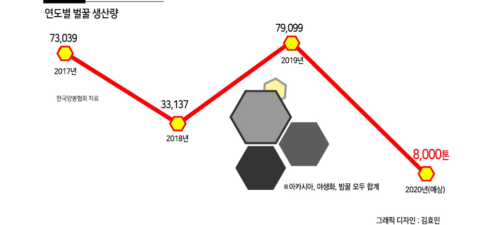 ‘전에 없던’ 등검은말벌…  꿀벌이 하나둘 사라지다