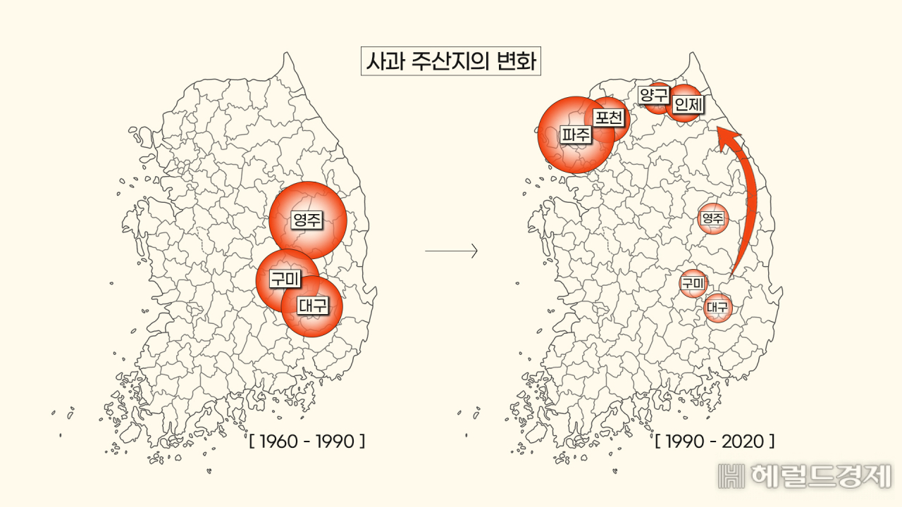 ‘빨간 사과’가 사라진다… 하얗게 질식하는 한반도