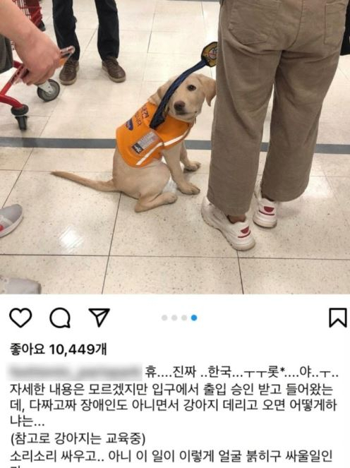 한 시민이 롯데마트의 시각장애인 예비 안내견 입장 거부 상황을 소셜미디어(SNS)에 올렸다. [인스타그램 캡처]