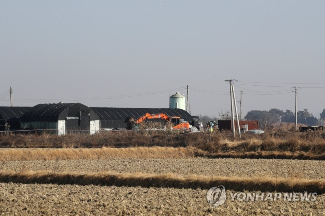6일 오전 전남 영암군 한 삼계 농장에서 방역 당국이 예방적 살처분 작업을 하고 있는 모습. 전날 영암의 한 오리 농장에서 고병원성 조류인플루엔자(AI) 확진 사례가 발생해 방역 당국이 반경 3㎞ 이내 농장 10곳 49만3천마리에 대해 예방적 살처분을 했다.[연합뉴스]