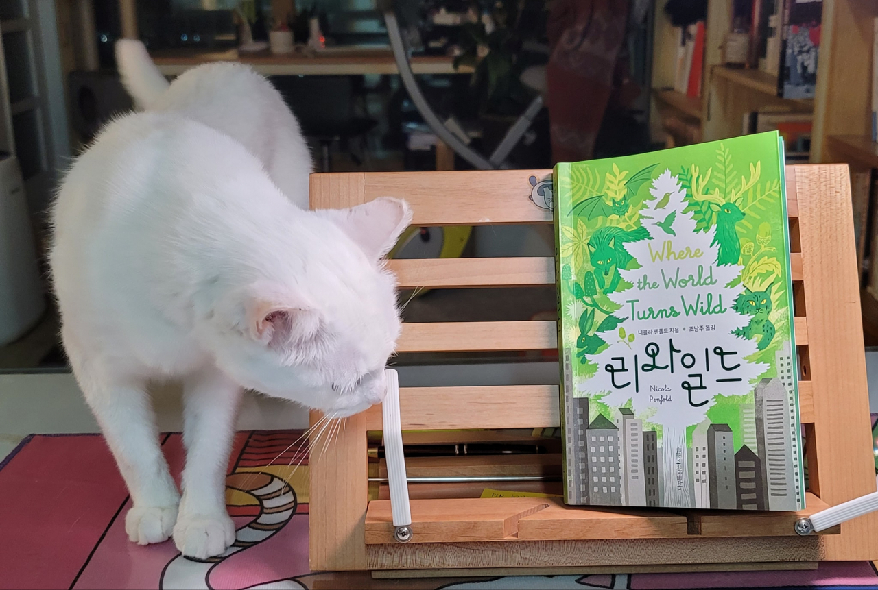 은수미 페북 캡처