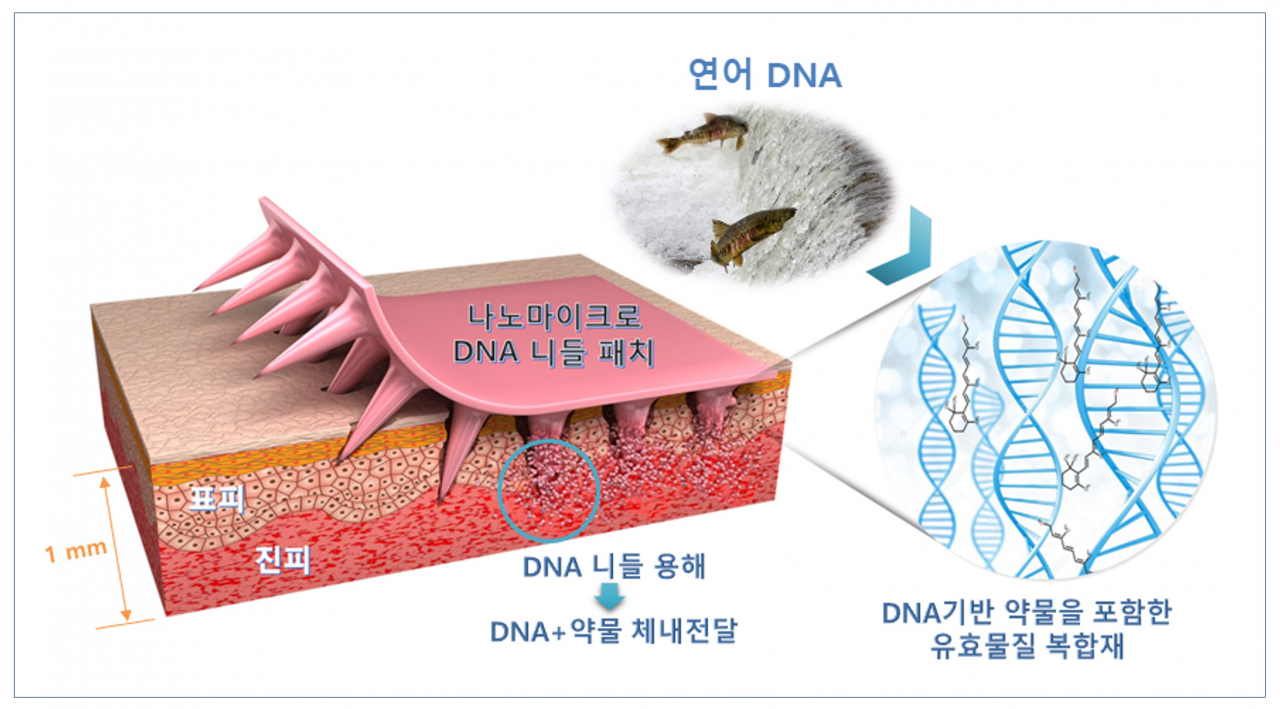 통증없이 붙이는 주사-나노마이크로 DNA 니들패치.[한국기계연구원 제공]