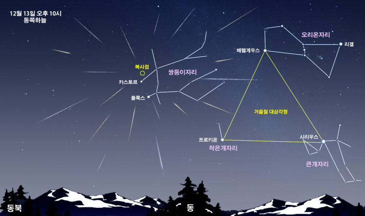 쌍둥이자리 유성우 예상도.[국립과천과학관 제공]