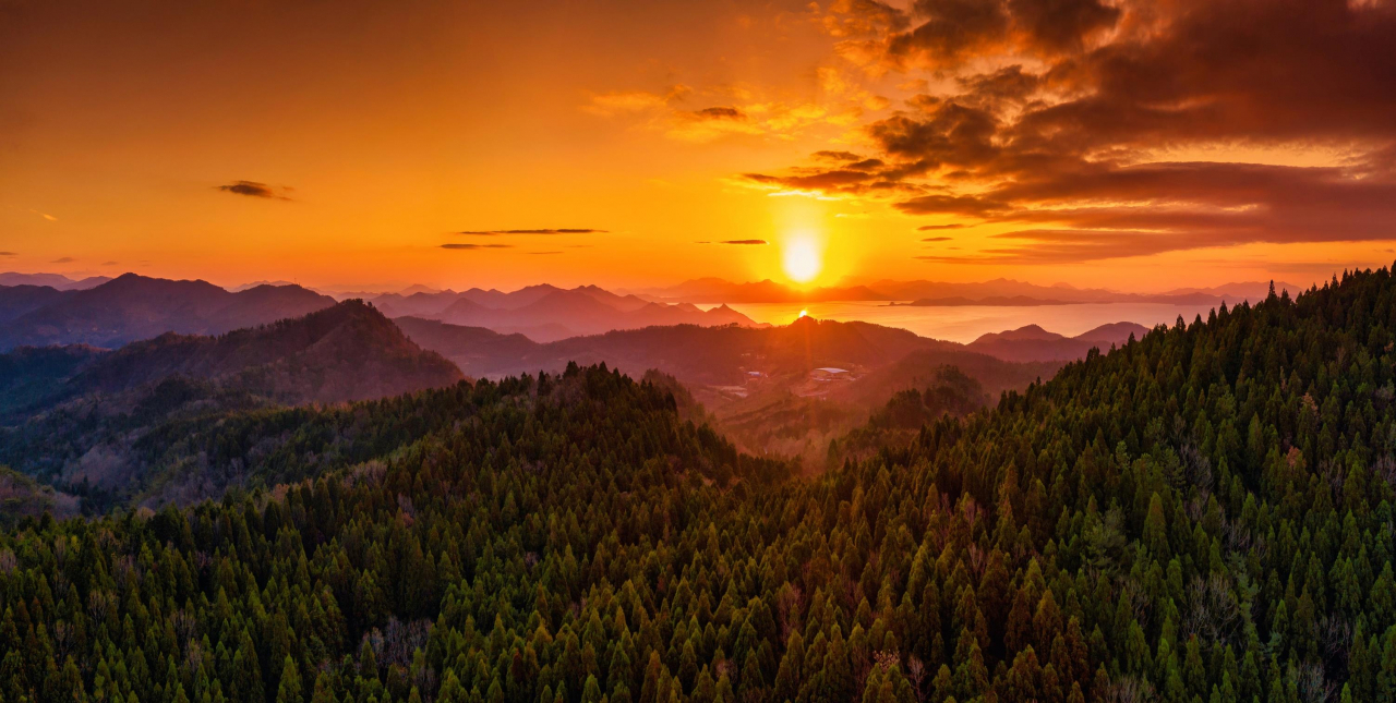 보성 활성산성 편백숲