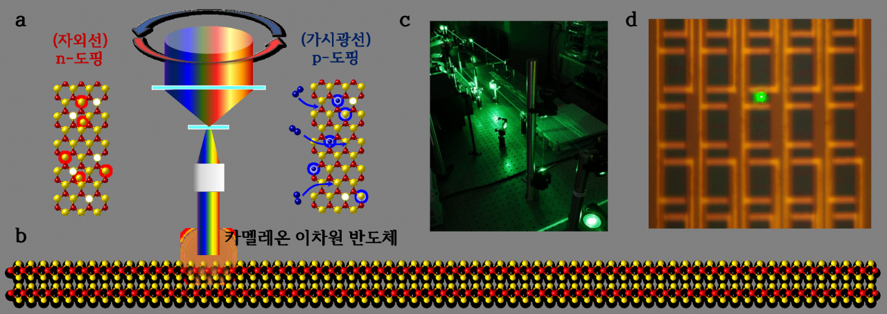 카멜레온 2차원 반도체 도핑 과정.[IBS 제공]