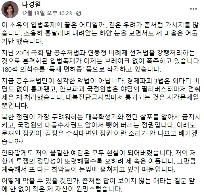 나경원 국민의힘 전 의원 페이스북 일부 캡처.