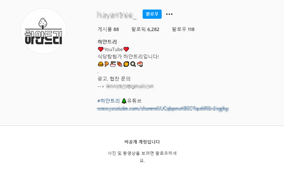 최근 허위 폭로 영상이 문제가 된 유튜버 ‘하얀트리’가 자신의 SNS 채널을 모두 닫고 비공개로 전환했다. [인스타그램 캡처]